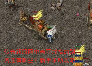 ·иǽָıЩ
