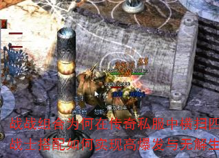սսΪڴ˽кɨķ˫սʿʵָ߱޽棿