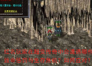 ڳ䴫лЩͷΣӦԣ