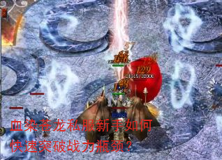 ѪȾ˽οͻսƿ
