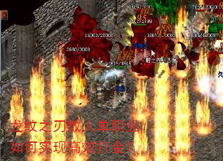 ֮ɢ˵ְҵʵָЧ
