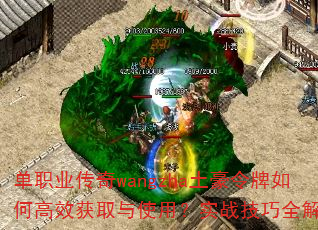 ְҵwangzhaθЧȡʹãʵսȫ