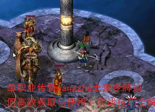 ְҵwangzhaθЧȡʹãʵսȫ