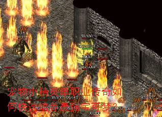 С鵥ְҵοǿΣ