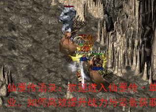 ¼ӭְҵθЧսװȡ