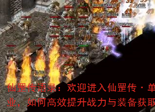 ¼ӭְҵθЧսװȡ