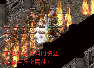 ɺƻ꽣οٻȡǿԣ