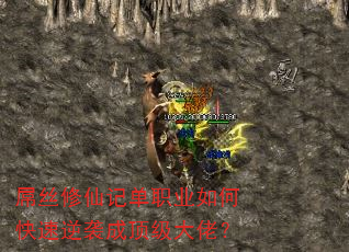 ˿ɼǵְҵοϮɶУ
