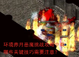 ¶ħսЩؼҪע⣿