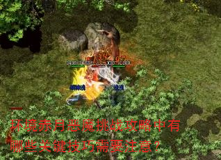¶ħսЩؼҪע⣿