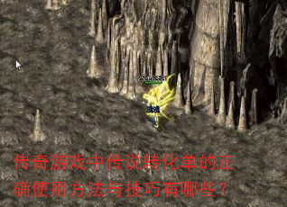 Ϸд˵תȷʹ÷뼼Щ