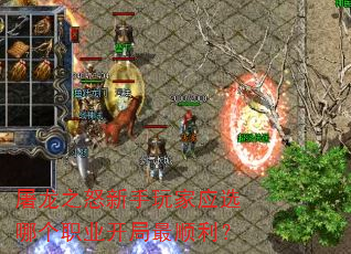 ֮ŭӦѡĸְҵ˳