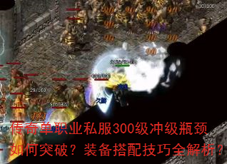 浥ְҵ˽300弶ƿͻƣװ似ȫ