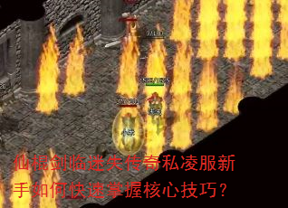 ɹʧ˽οպļɣ