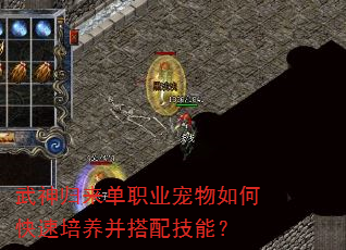 ְҵο似ܣ