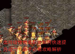 Ѫ紫浥ְҵοսֱؿԽ