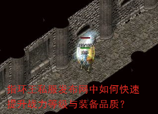 ָ˽οսȼװƷʣ