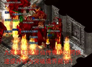 βְҵɴοΪͻƾƿ