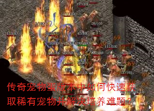 ﵰ汾οٻȡϡгﲢ⣿