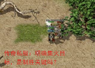 ˽ȷĿ꣬ʤؼ