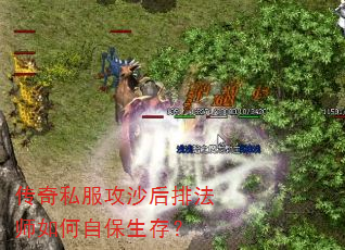 ˽ɳŷʦԱ棿