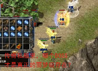 ˽ĸBOSSجμڣ