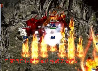 ʬħǴҵ