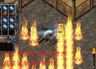 괫˽ЧʵشǮ