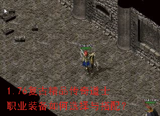1.76žƷʿְҵװѡ䣿
