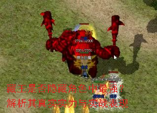 Ƿؽɫǿʵʵʵս