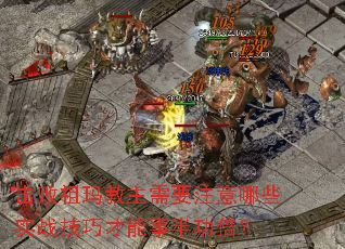 ҪעЩʵսɲ°빦