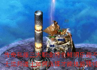 ˽ְҵɫȤͬսʿʦʿѡ