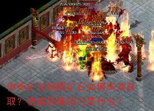 󶴵ͼʯθЧȡٲɼʲô