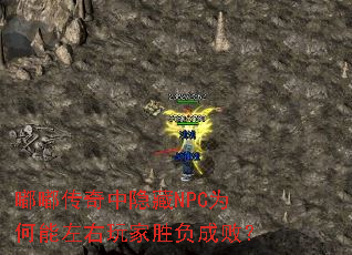 ུNPCΪʤɰܣ