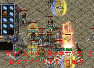 ˽λȡBOSSɱϳɼЩ