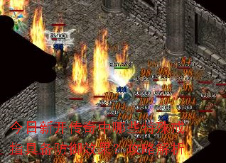 ¿Щָ߱ЧԽ