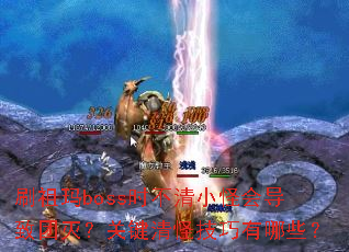 ˢbossʱСֻᵼ𣿹ؼּЩ