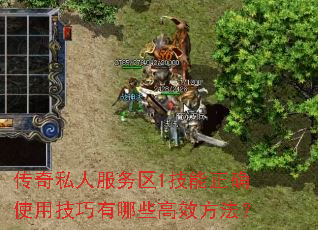 传奇私人服务区1技能正确使用<a href=