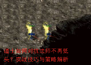 道士如何对抗法师不再低头?实战技巧与策略解析 道士如何对抗法师不再低头?实战技巧与策略解析