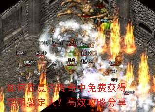 如何在复古传奇中免费获得实用鉴定人?高效攻略分享 如何在复古传奇中免费获得实用鉴定人?高效攻略分享