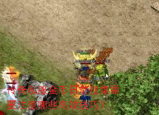 传奇私服金币日常搜集需要注意哪些高效技巧? 传奇私服金币日常搜集需要注意哪些高效技巧?