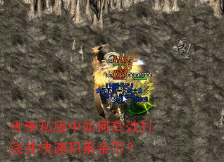 传奇私服中如何高效打钱并快速积累金币? 传奇私服中如何高效打钱并快速积累金币?