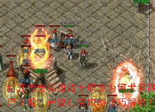 ¿˽ʿְҵΪδʬЧ򱦹Լɽ