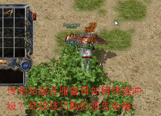 传奇私服开服首日如何快速冲级?高效技巧助你领先全服 传奇私服开服首日如何快速冲级?高效技巧助你领先全服