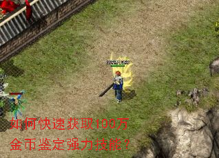 如何快速获取100万金币鉴定强力技能? 如何快速获取100万金币鉴定强力技能?