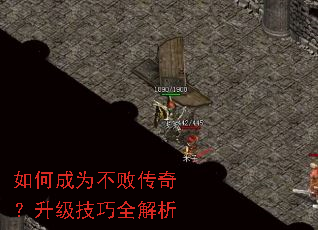 如何成为不败传奇?升级技巧全解析 如何成为不败传奇?升级技巧全解析