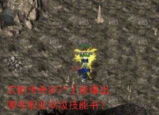 沉默传奇SF尸王能爆出哪些职业高级技能书? 沉默传奇SF尸王能爆出哪些职业高级技能书?