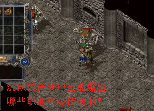 沉默传奇SF尸王能爆出哪些职业高级技能书? 沉默传奇SF尸王能爆出哪些职业高级技能书?