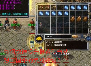 如何快速提升群英传奇梦想三国中的武将等级? 如何快速提升群英传奇梦想三国中的武将等级?