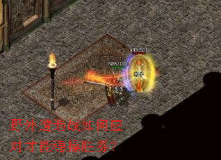 野外遭遇战如何应对才能稳操胜券? 野外遭遇战如何应对才能稳操胜券?